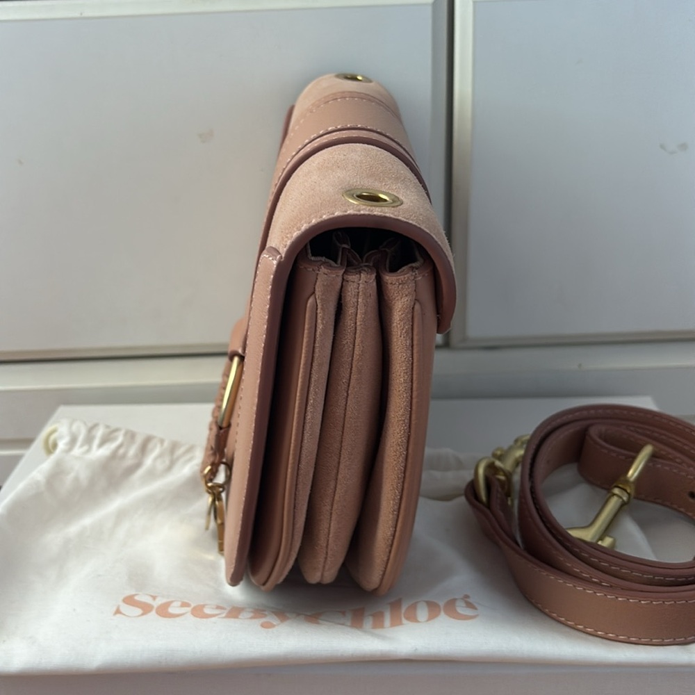 See By Chloe Pink Leather & Suede Crossbody Bag with Gold Ring - Picture 3 of 14